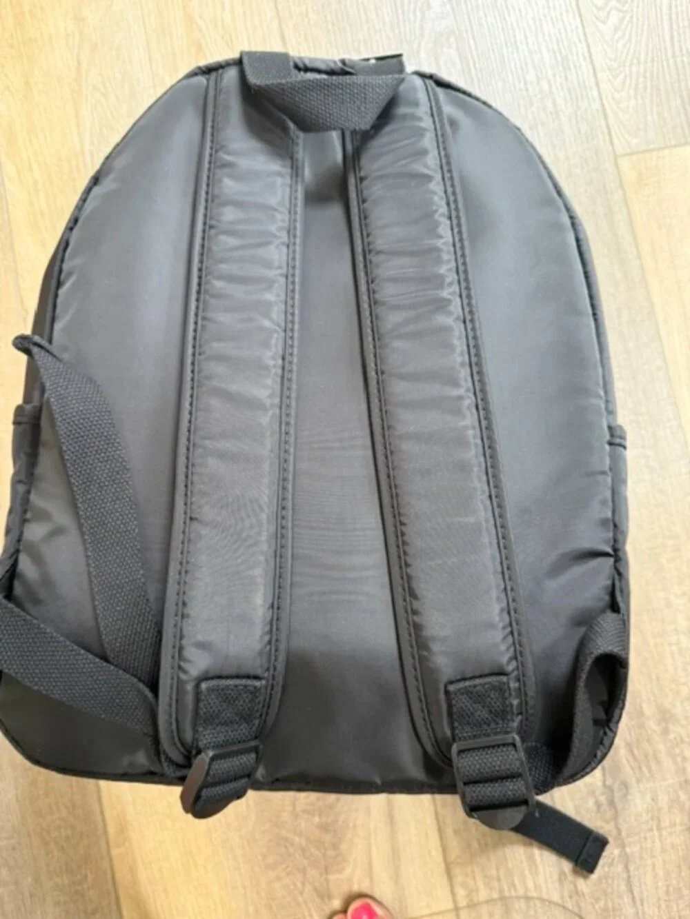 NEW Wild Fable Bookbag Backpack 18
